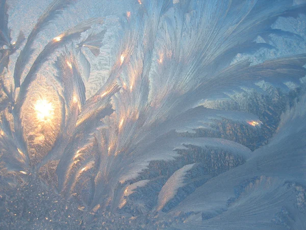 Frost und Sonne — Stockfoto