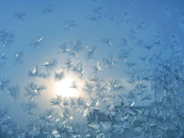 Frosty natural pattern and sun — Stock Photo, Image
