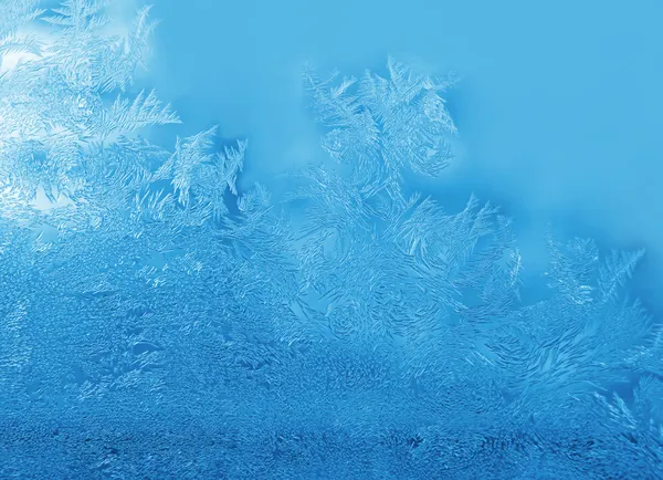 霜のテクスチャ — ストック写真
