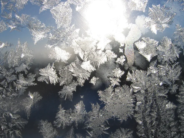 Gelo e sole — Foto Stock