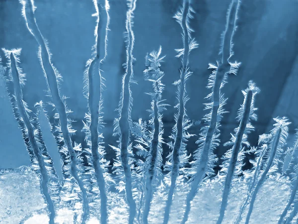 Frostiga naturliga mönster — Stockfoto
