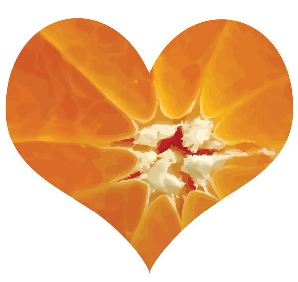 Citrus love — Stock Photo, Image