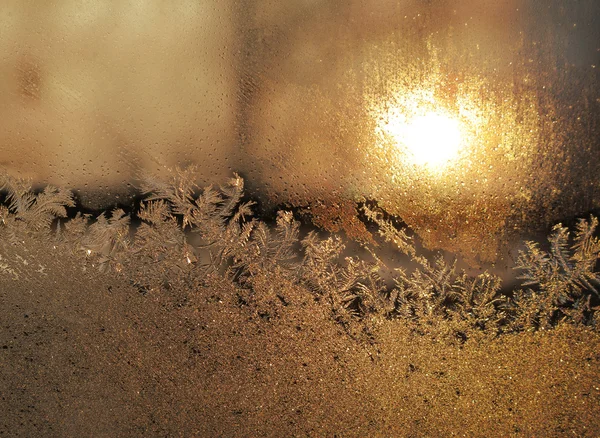 Frost and sun — Stock Photo, Image