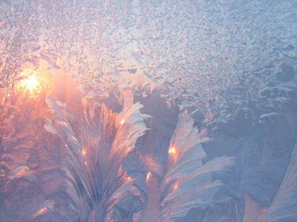 Frost ve güneş — Stok fotoğraf