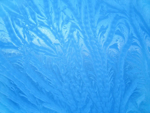 Vidro de inverno — Fotografia de Stock
