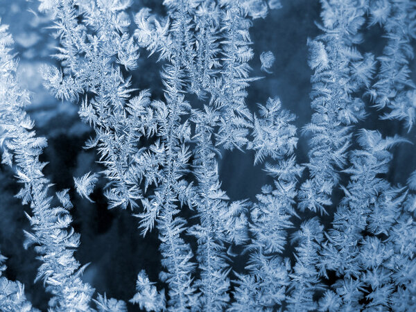 Blue frosty natural pattern