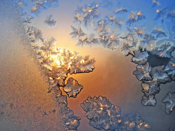 Frost and sun — Stock Photo, Image