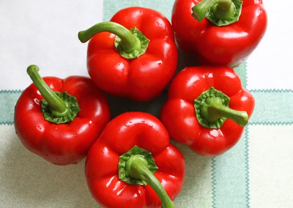 Paprika červená — Stock fotografie
