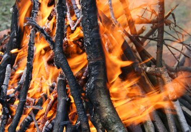 yangında yanan odun