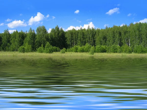 Summer landscape reflected in water — Stock Photo, Image