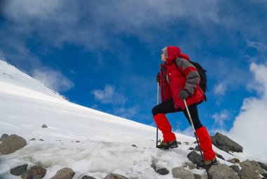 Young, beautiful girl an climbing rises clipart