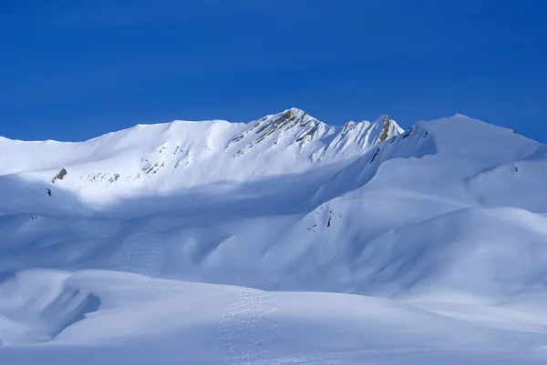 Güzel dağ omurga — Stok fotoğraf