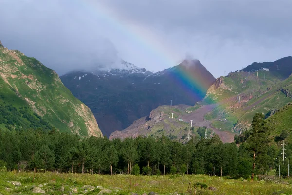 Красивая радуга над лесом — стоковое фото