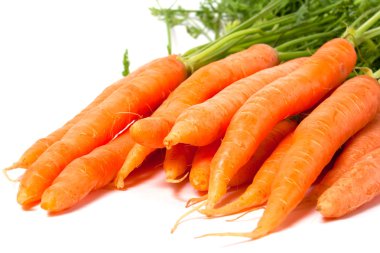 Carrot clipart