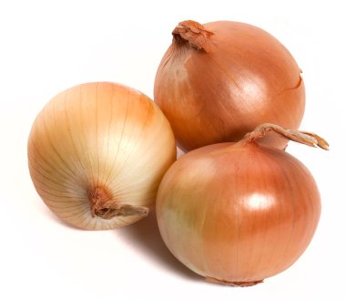 Onion clipart