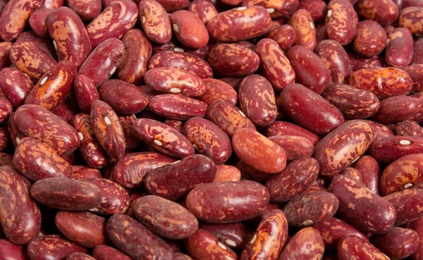 赤インゲン豆食品背景 — ストック写真