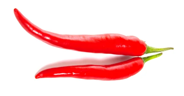 Dwie papryki chili Obraz Stockowy