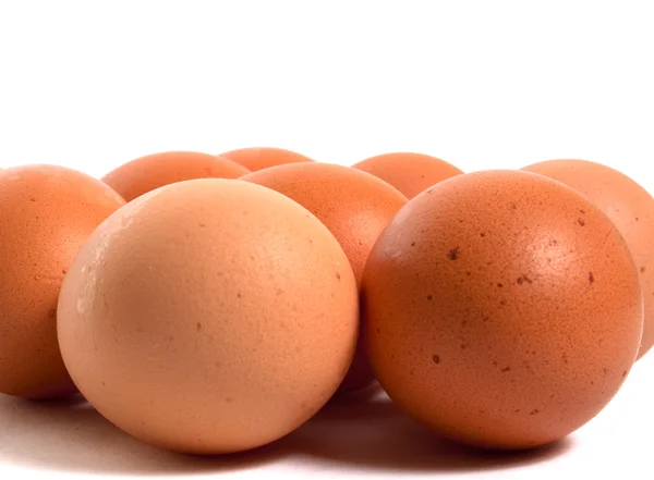 Molte uova marroni chiken — Foto Stock