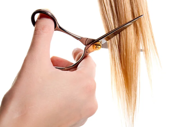 Ножницы обрезают прядь волос — стоковое фото