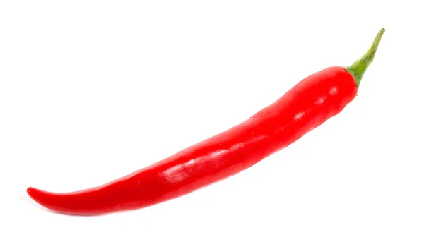 stock image Red hot chili peper