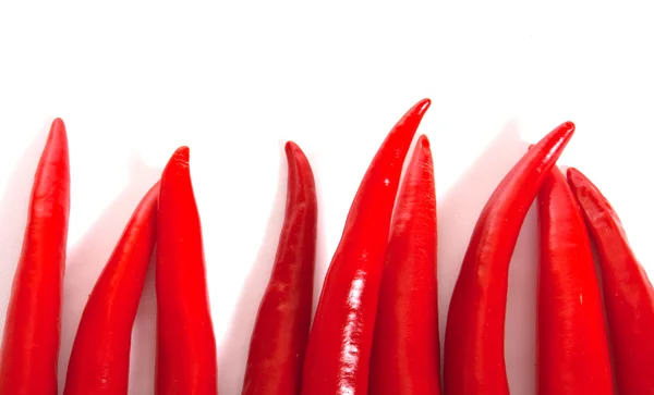 stock image Chili peppers