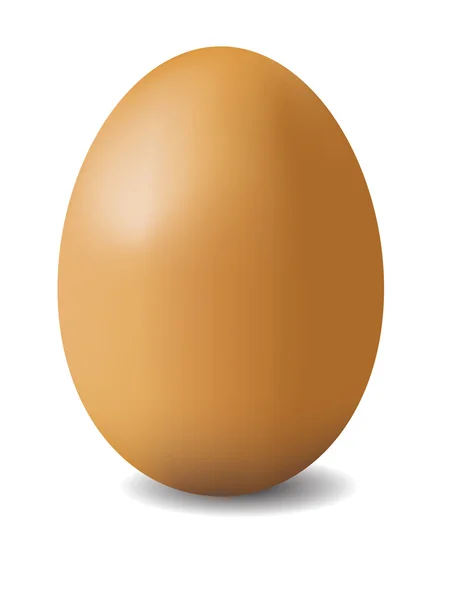 Illustazione di uovo marrone — Vettoriale Stock