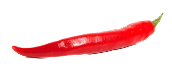 Rote scharfe Chilischote — Stockfoto