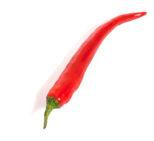 stock image Pepper