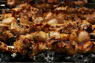 Caucasus shashlik (barbecue) clipart