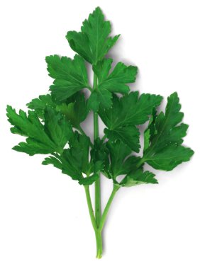 Parsley clipart