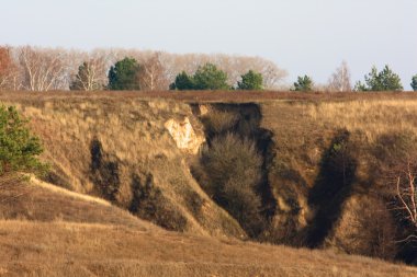 Doğa