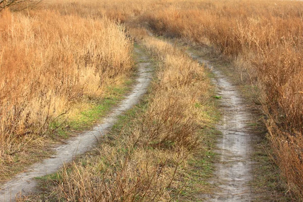 Stock image Road