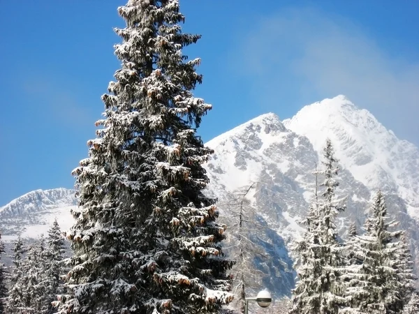 Snow Landscape — Stock Photo, Image