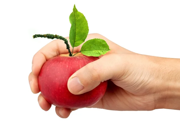 Una manzana en la mano —  Fotos de Stock