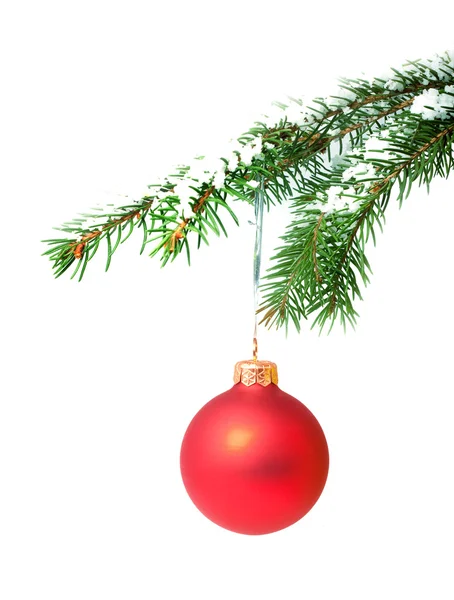 Branch with a Christmas toy — Stock Photo, Image