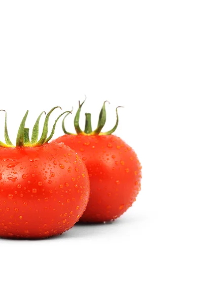 Iki kırmızı domates — Stok fotoğraf