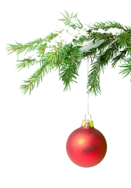 Větev s vánoční hračky — Stock fotografie