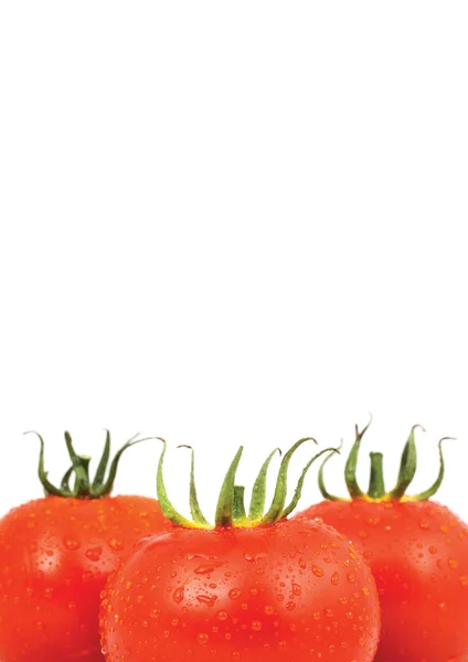 Três tomates vermelhos isolados nas costas brancas — Fotografia de Stock