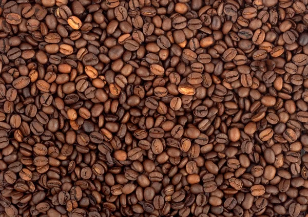 Υπόβαθρο των φασολιών καφέ — Φωτογραφία Αρχείου