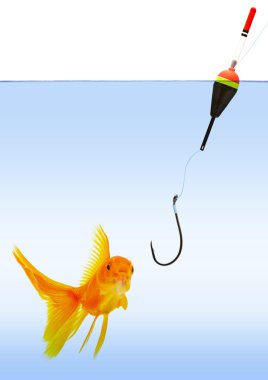 Fishing clipart