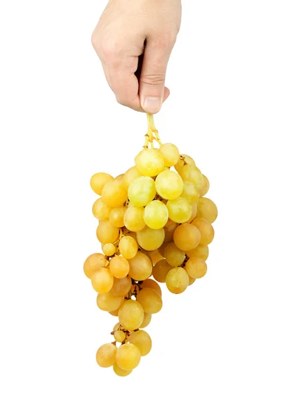 Пучок свіжого винограду — стокове фото