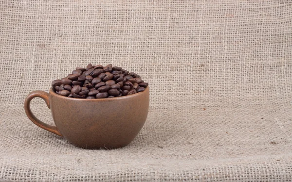 갈색볶은 커피 콩 — 스톡 사진
