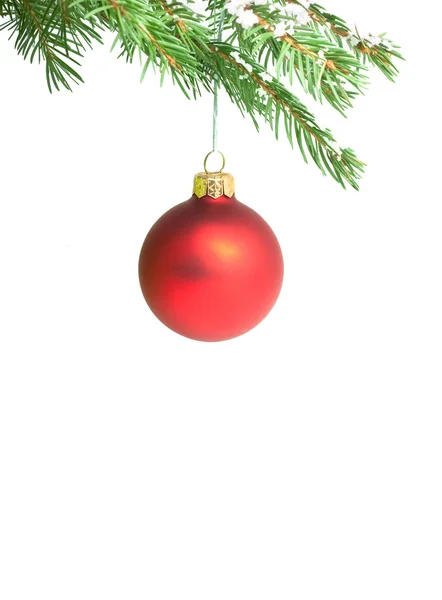 Větev s vánoční hračky — Stock fotografie