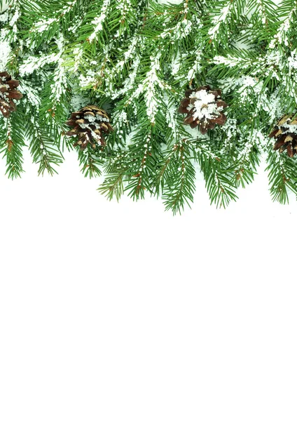 Різдвяна рамка зі снігом і шишками — стокове фото