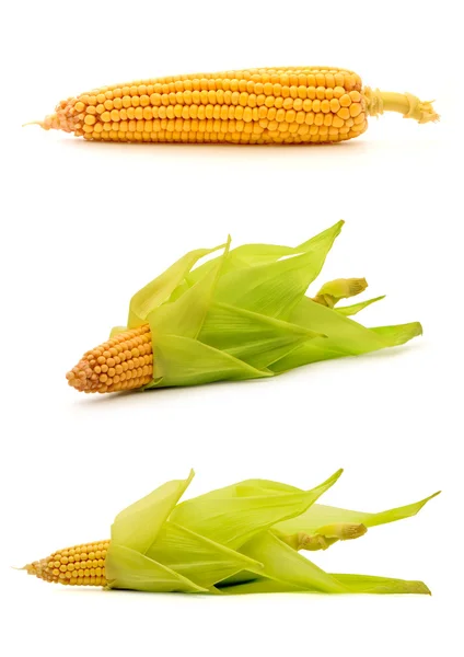 Corns — Stock fotografie