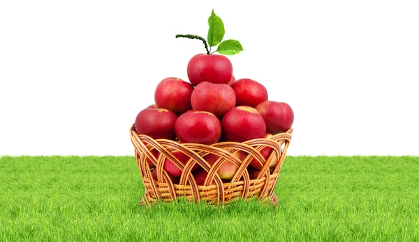 Panier de pommes — Photo