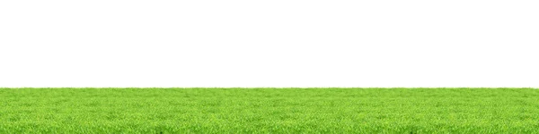 Erba verde isolata — Foto Stock