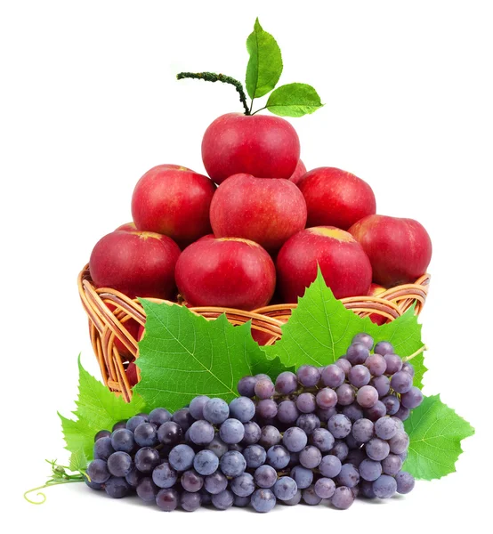 Farverig sund frisk frugt - Stock-foto