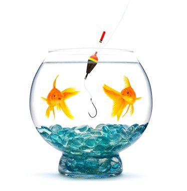 Goldfish clipart