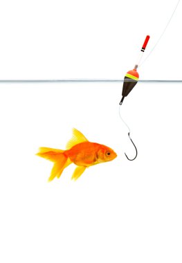 Fishing clipart